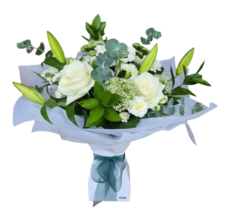 Premium white and green flowers arranged in a convenient self-watering Vox Box, ideal for office or hospital delivery in South Auckland.
