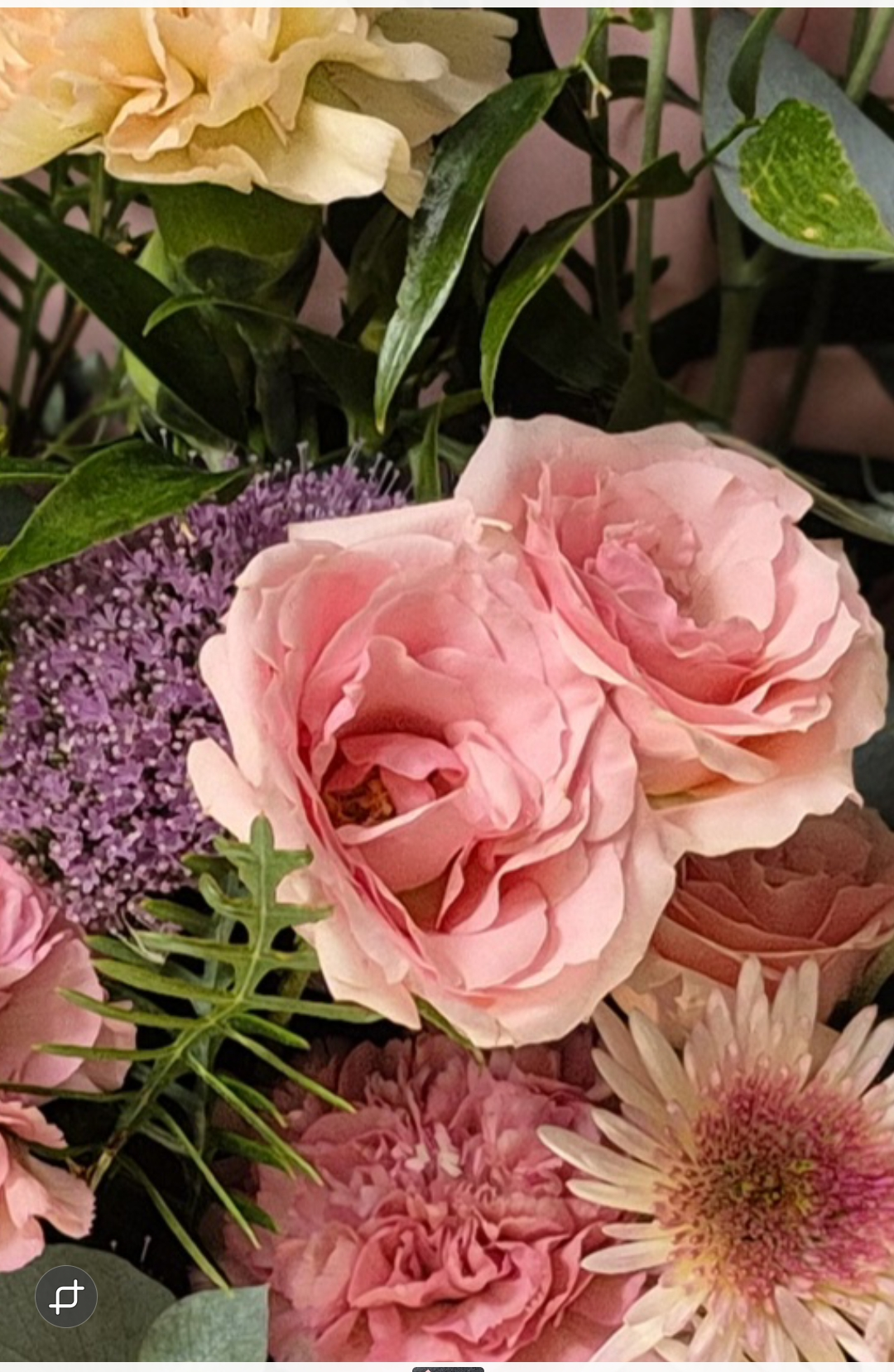 Florist's Choice - Pastel