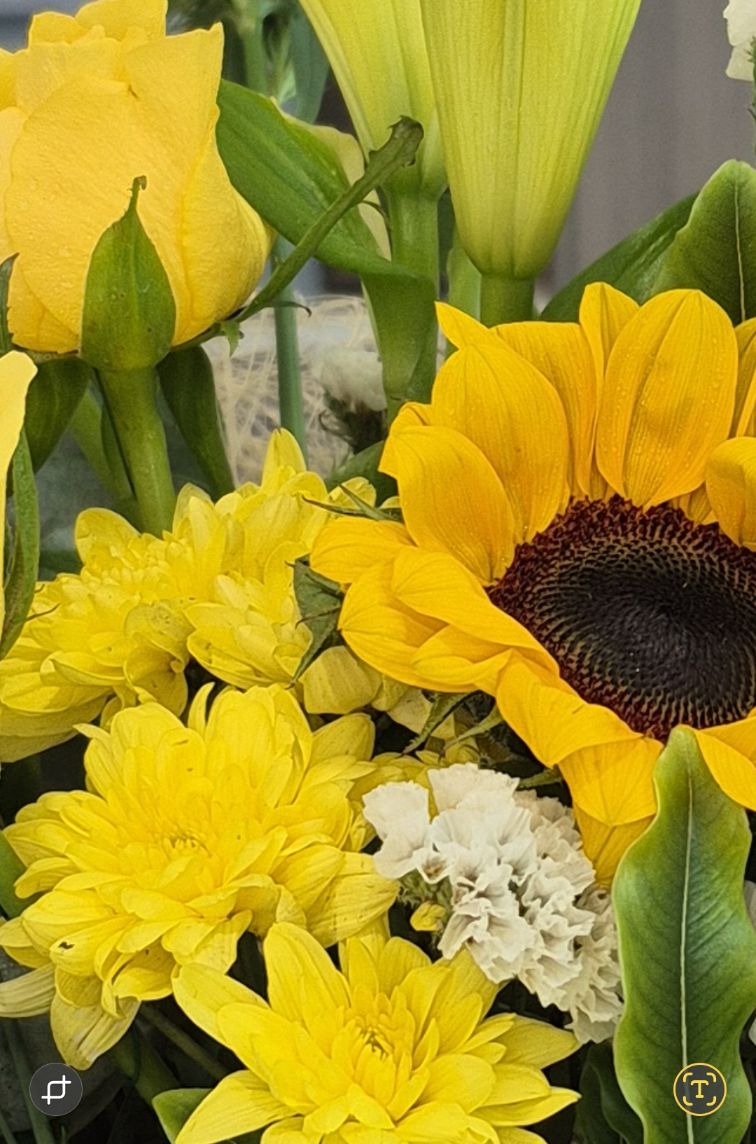 Florist's Choice - Yellow