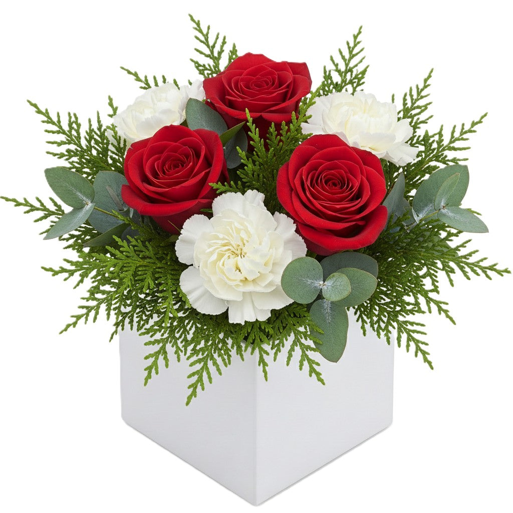 Striking crimson red and pure white flower arrangement in a white square card box, hand-crafted for elegant delivery in South Auckland.
