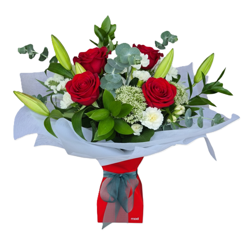 Striking arrangement of red and white seasonal flowers in a convenient self-watering Vox Box, available for delivery in South Auckland.