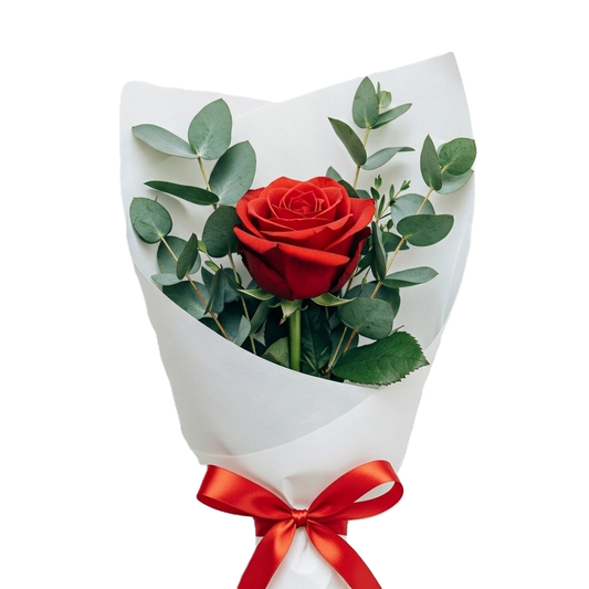 Elegant single premium red rose gift hand-wrapped with greenery, available for delivery in South Auckland by local growers.