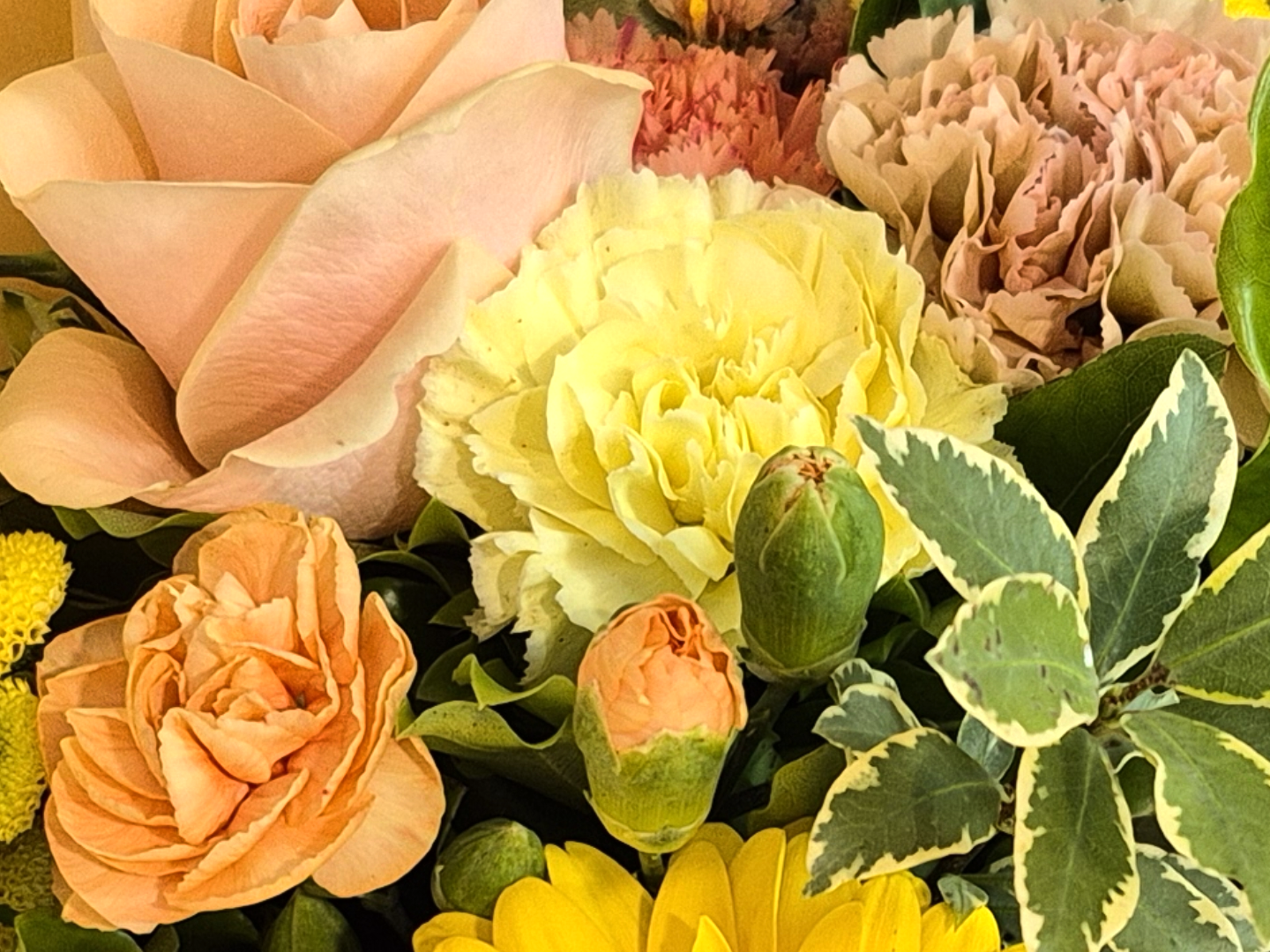 Delicate pastel flower bouquet featuring soft pinks and whites, hand-crafted for delivery in Auckland by local commercial growers.